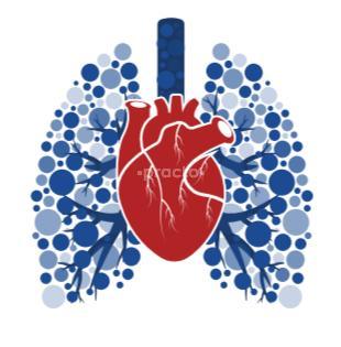 Miracle Chest Speciality Clinic