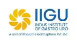 IIGU Hospital-Indus Institute of Gastro Uro