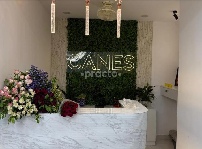 Reception Area at Canes Cardio Neuro Clinic Raghavendra Colony-Kondapur Hyderabad