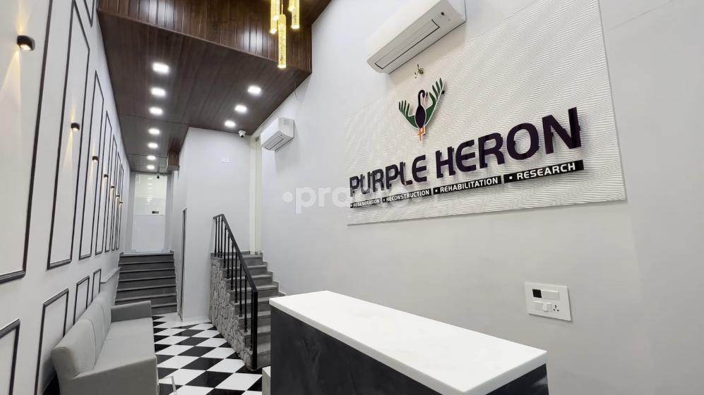 Reception Area at Purple Heron Hospital Jaipur Jaipur