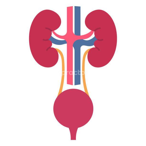 Urology Clinic