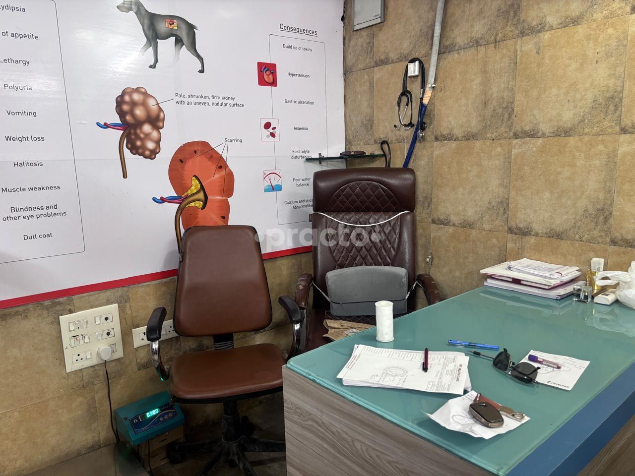 Reception Area at Soulease Clinic Murugeshpalya Bangalore