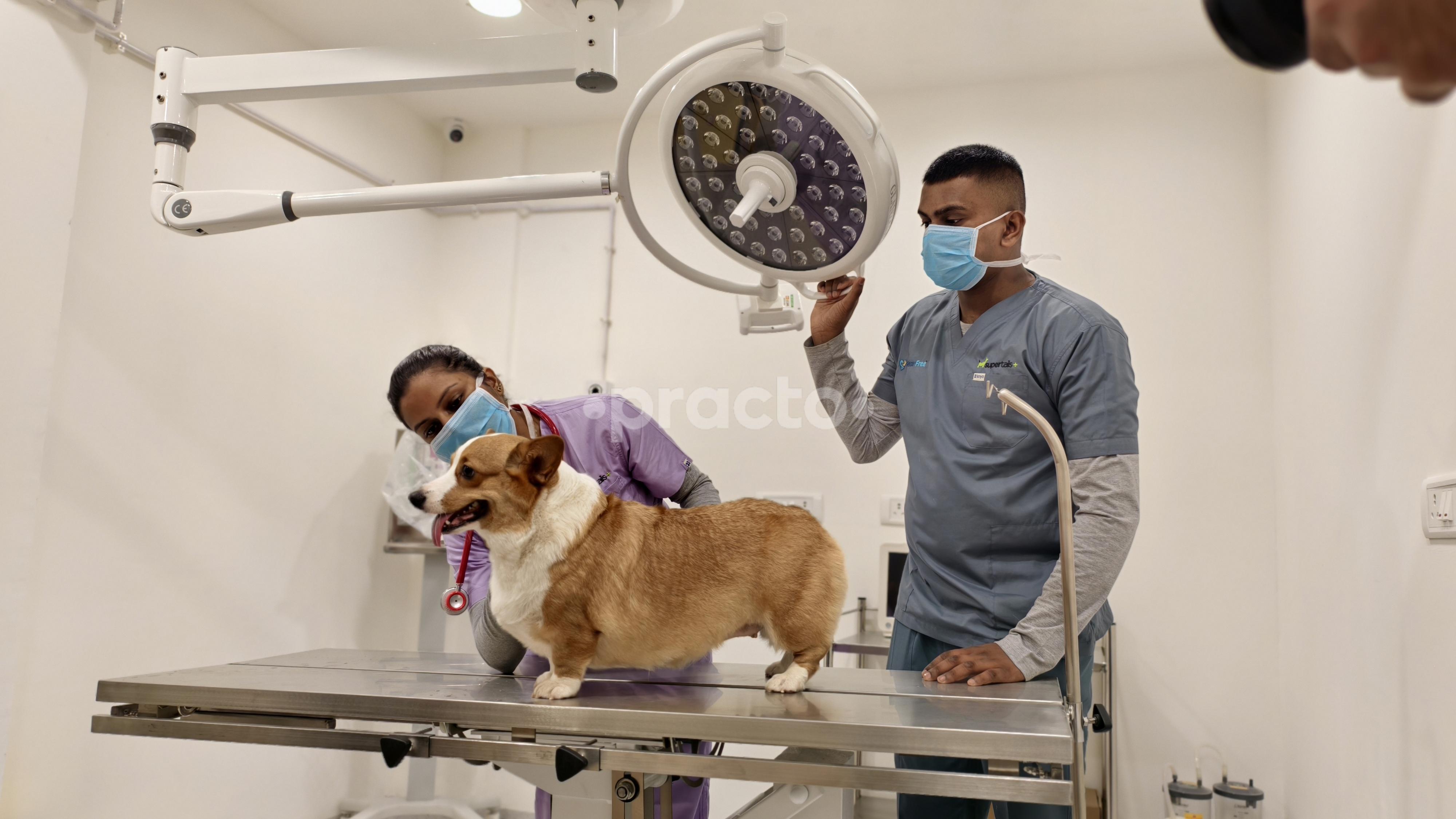 Operation Theatre at Supertails + Koramangala Bangalore