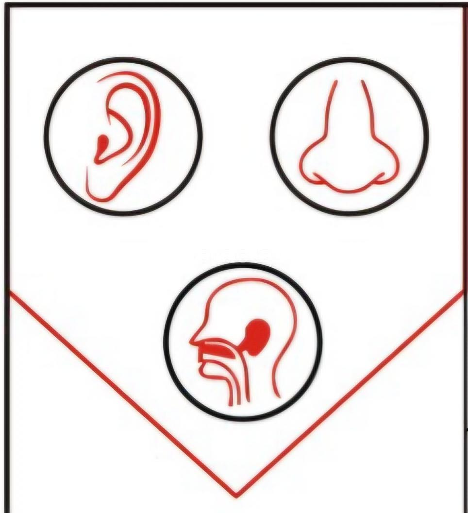 Dr.Praneetha's ENT Clinic