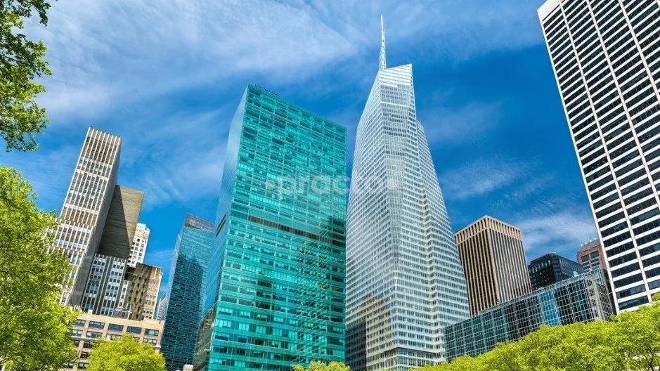 Bryant West Psychology New York 10018 New York