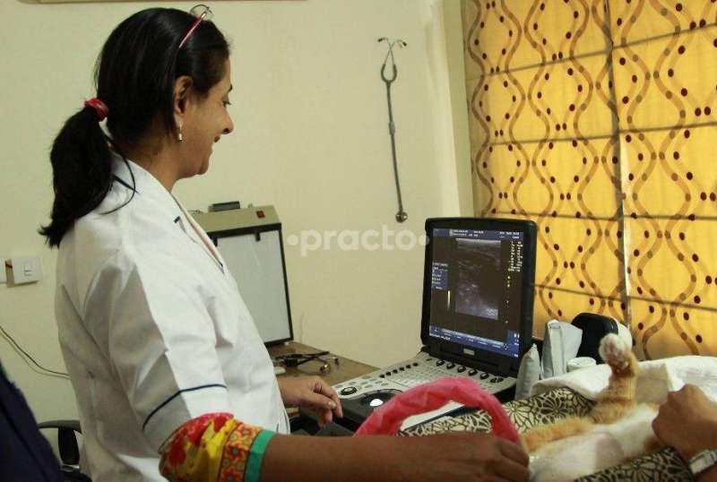 The Animal Care Clinic, Multi-Speciality Clinic in Banjara Hills, Hyderabad - Book Appointment, View Fees, Feedbacks | Practo The Animal Care Clinic, Multi-Speciality Clinic in Banjara Hills, Hyderabad - Book Appointment, View Fees, Feedbacks | Practo