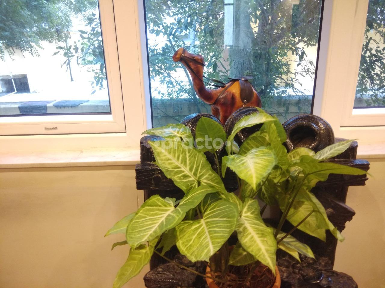 Reception Area at Silkee Laser Clinic Anna Nagar West Chennai