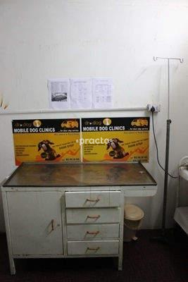 Dr. Dog Jubilee Hills Hyderabad