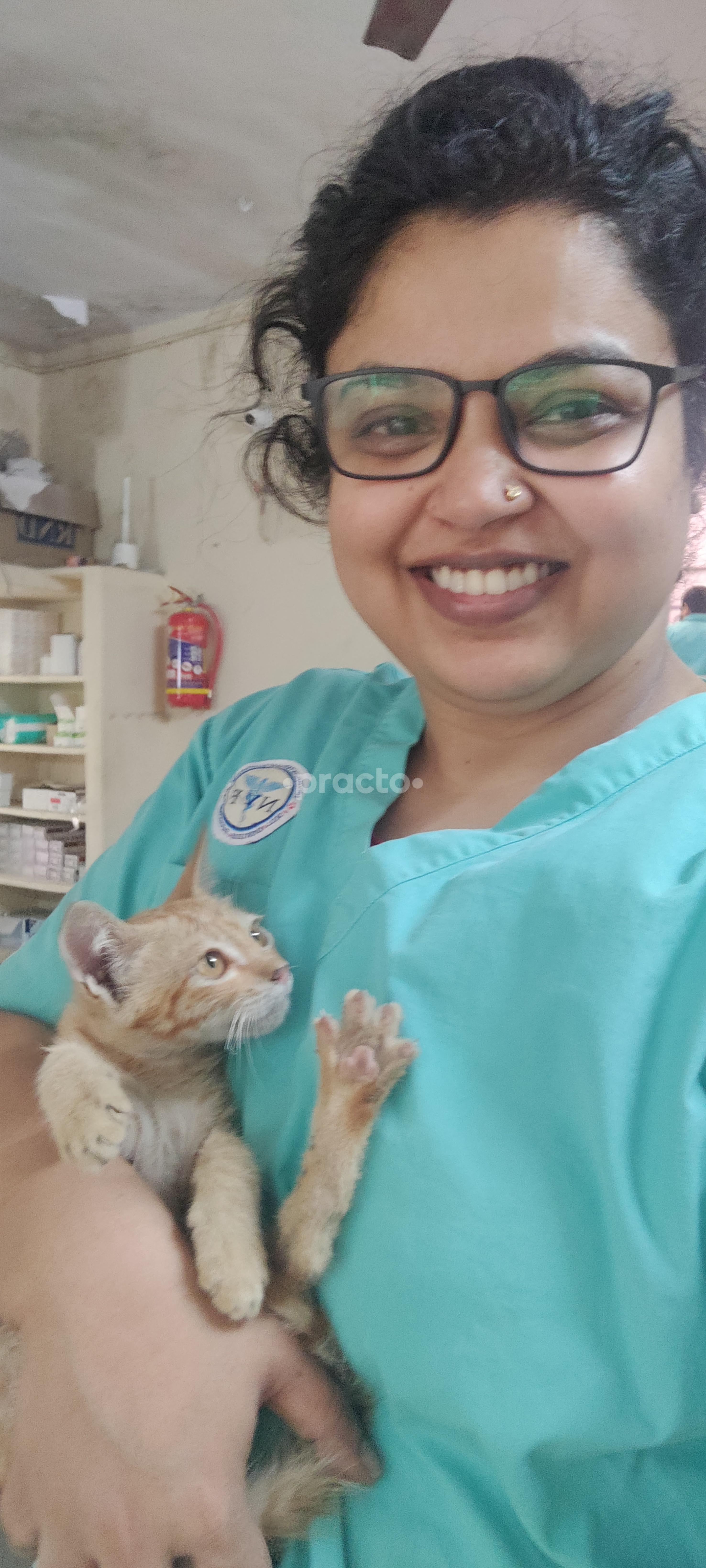 Consultation Room at Olive's Pet Clinic Kothapet Hyderabad