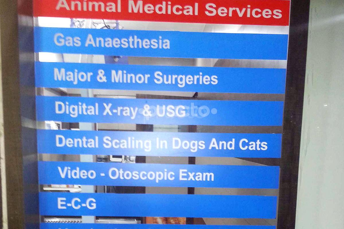 Entrance at Animal Medical Services Kondhwa Pune