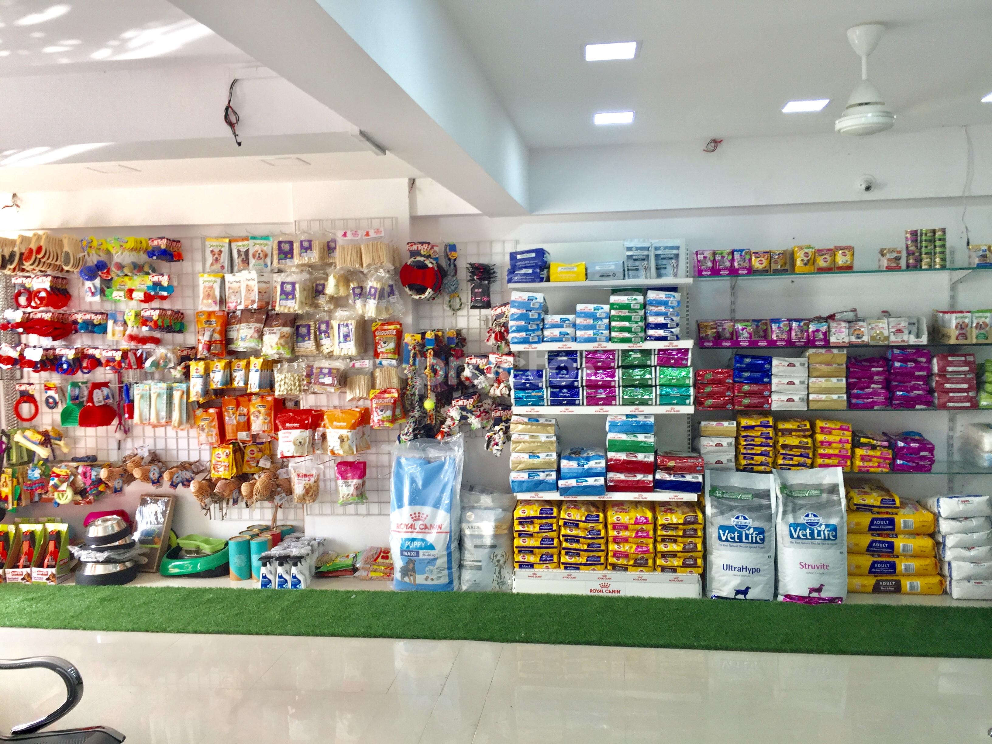 Outside Area at Pet's Heaven Pet Clinic Magarpatta City Pune