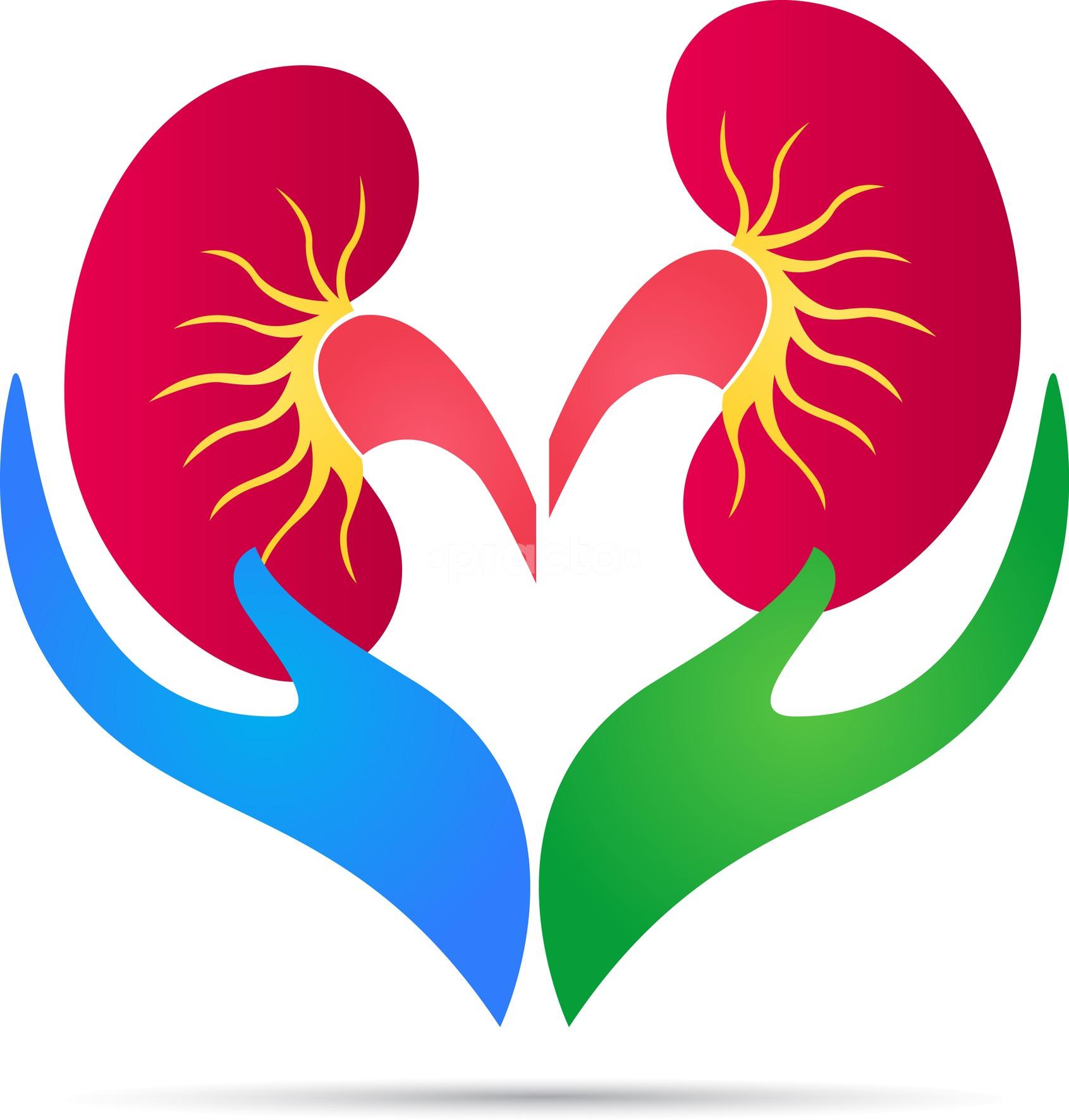 Dr Raman's Kidney Stone Centre