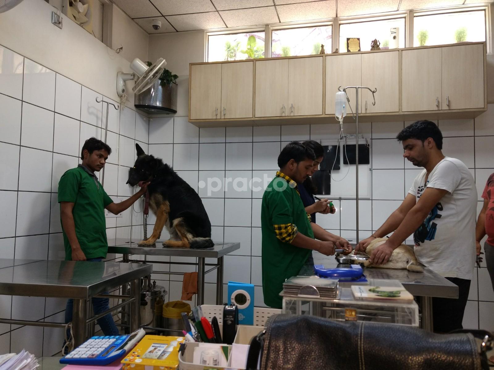 OPD/Ward at Pet Care & Surgery DLF Phase IV Gurgaon