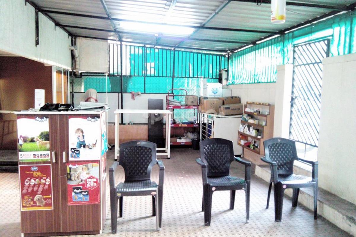 Waiting Area at Fur N Feather Companion Animal Clinic Pimpri-Chinchwad Pune