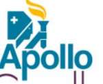 Apollo Cradle