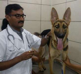 pet clinic in mira road