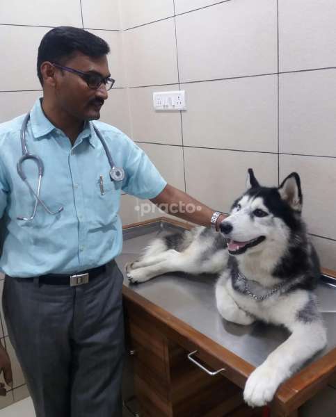 Pet doctor store in mira road