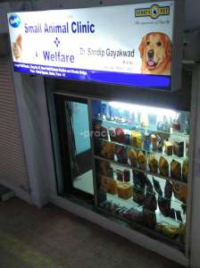 Small Animal Clinic Welfare Veterinary Clinic In Narhe Pune Book Appointment View Fees Feedbacks Practo