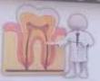 My Dentist (Dental & Orthodontic Clinic)