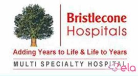 Bristlecone Hospitals