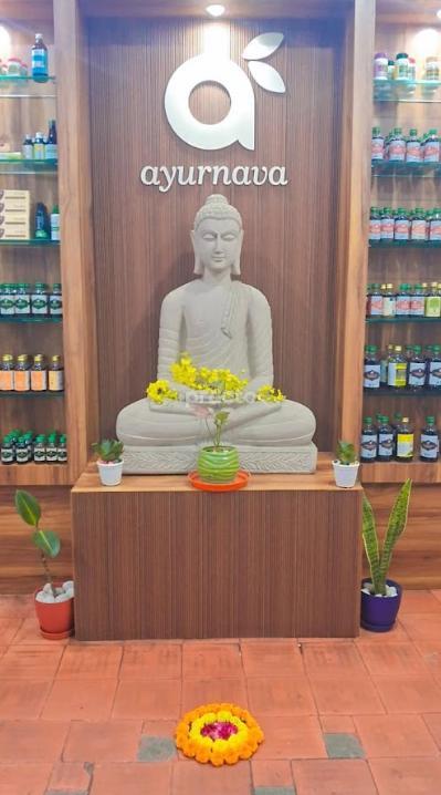 NAVAYUSHYA PANCHAKARMA CENTRE Kalkaji Delhi