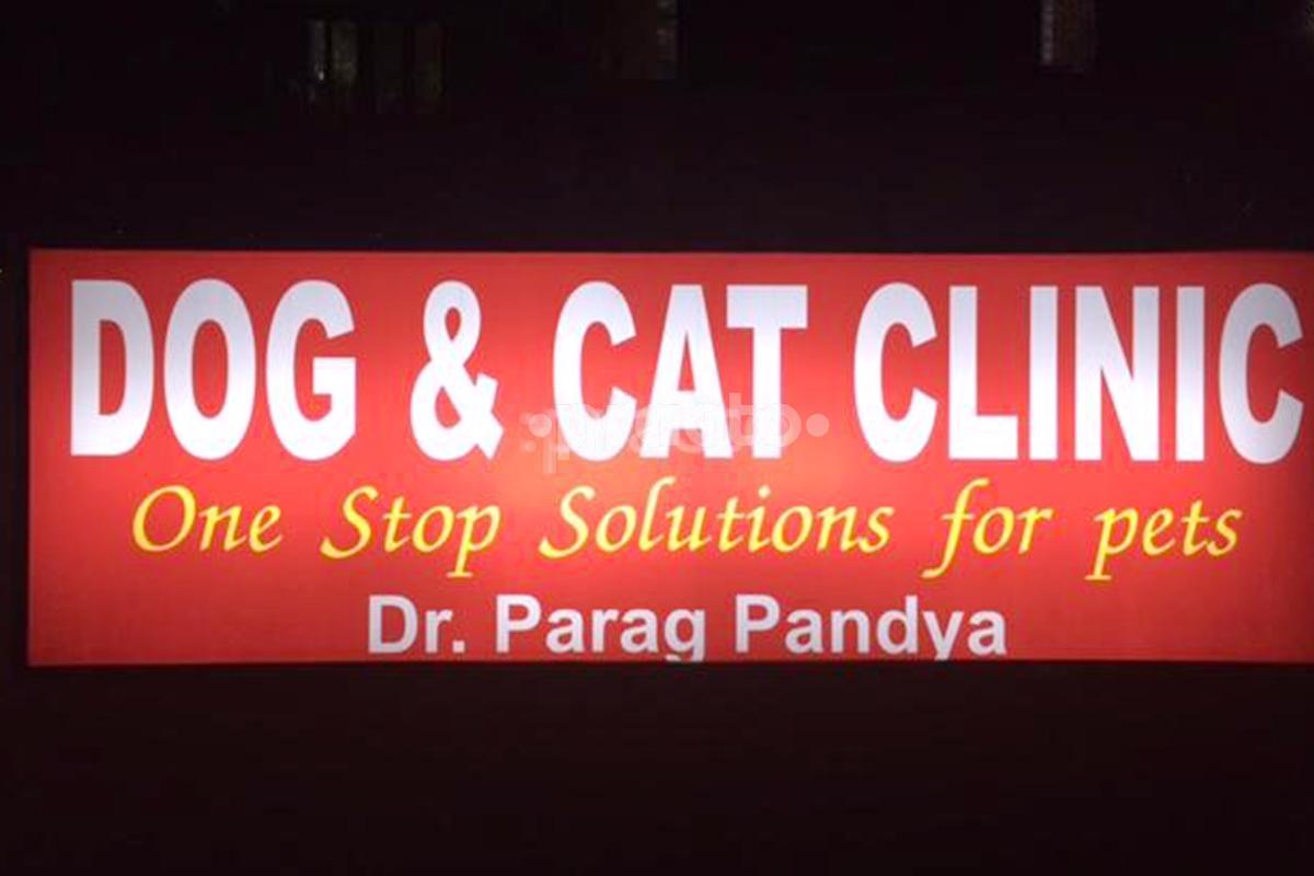 Entrance at Dog & Cat Clinic Arera Colony Bhopal