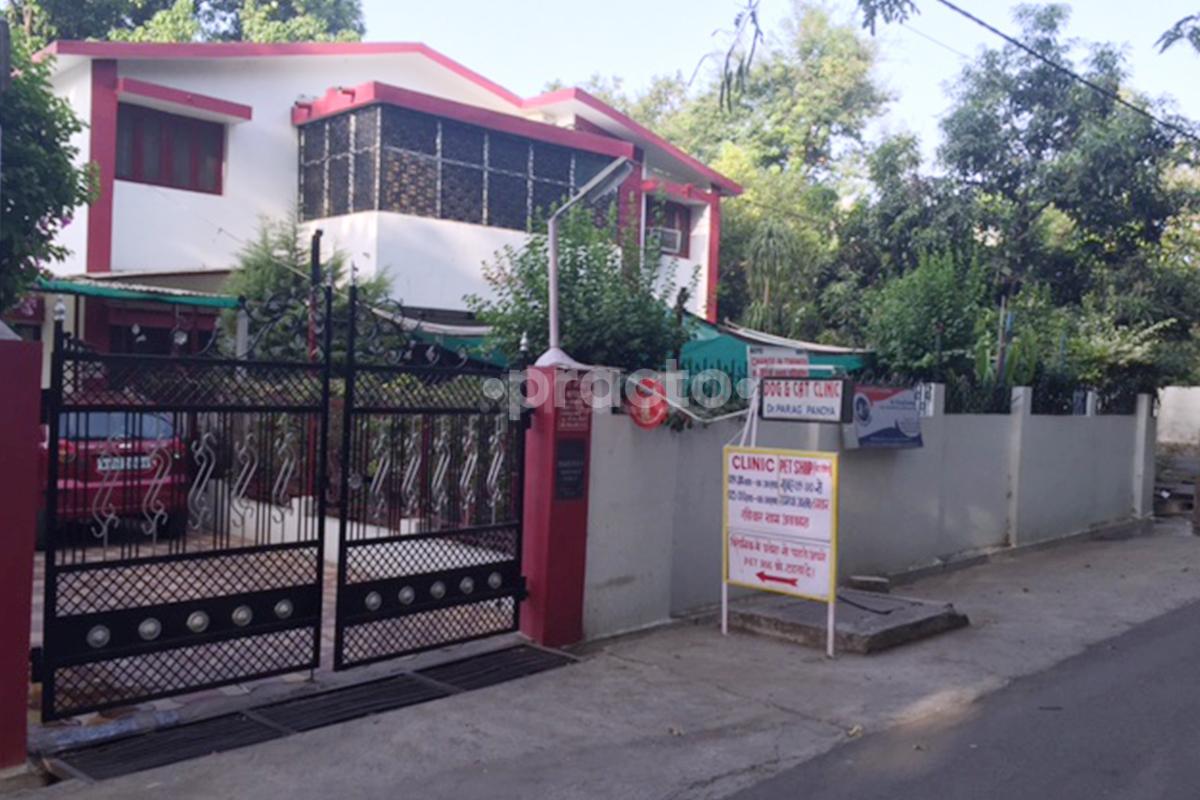 Entrance at Dog & Cat Clinic Arera Colony Bhopal