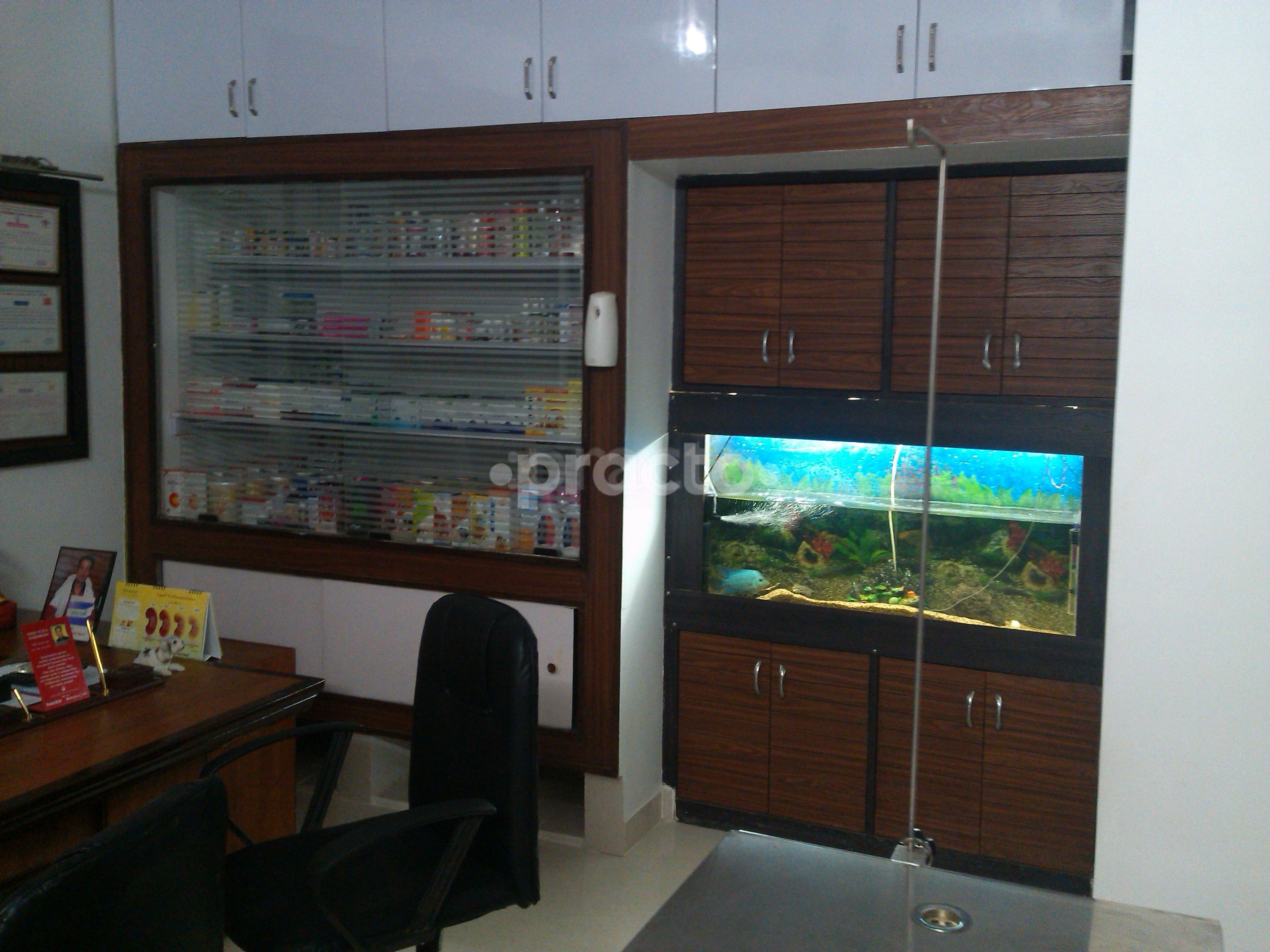 Dog Pet Shope Kolar Road Bhopal