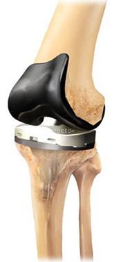 Dr.Ravi's Ortho Care