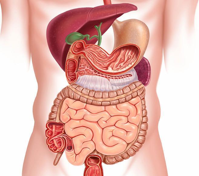 Padma Jayaram Gastro And Liver  Speciality Clinic