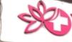 Lotus hospital