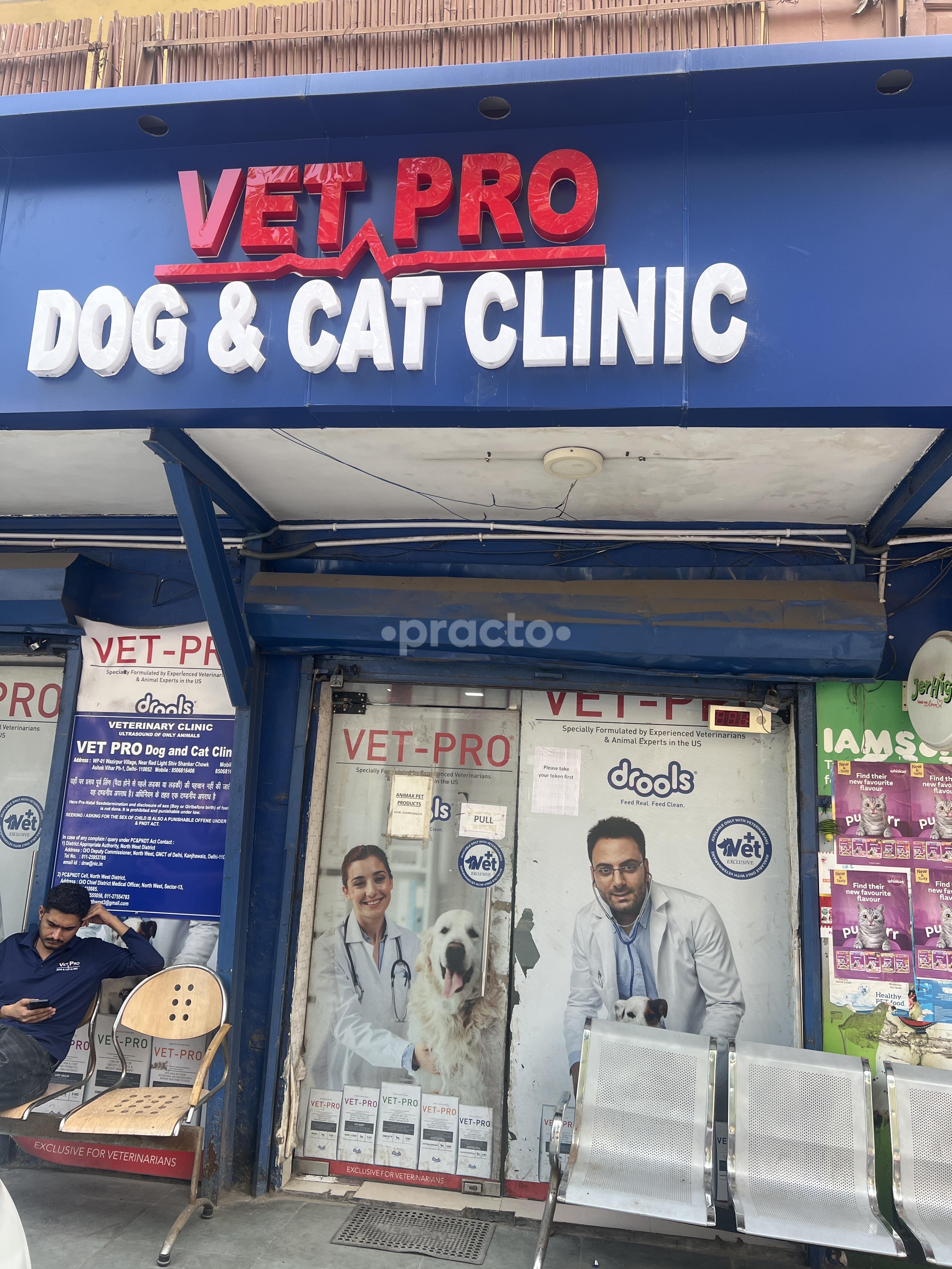 Outside Area at Vet Pro Dog and Cat Clinic Ashok Vihar Phase 1 Delhi