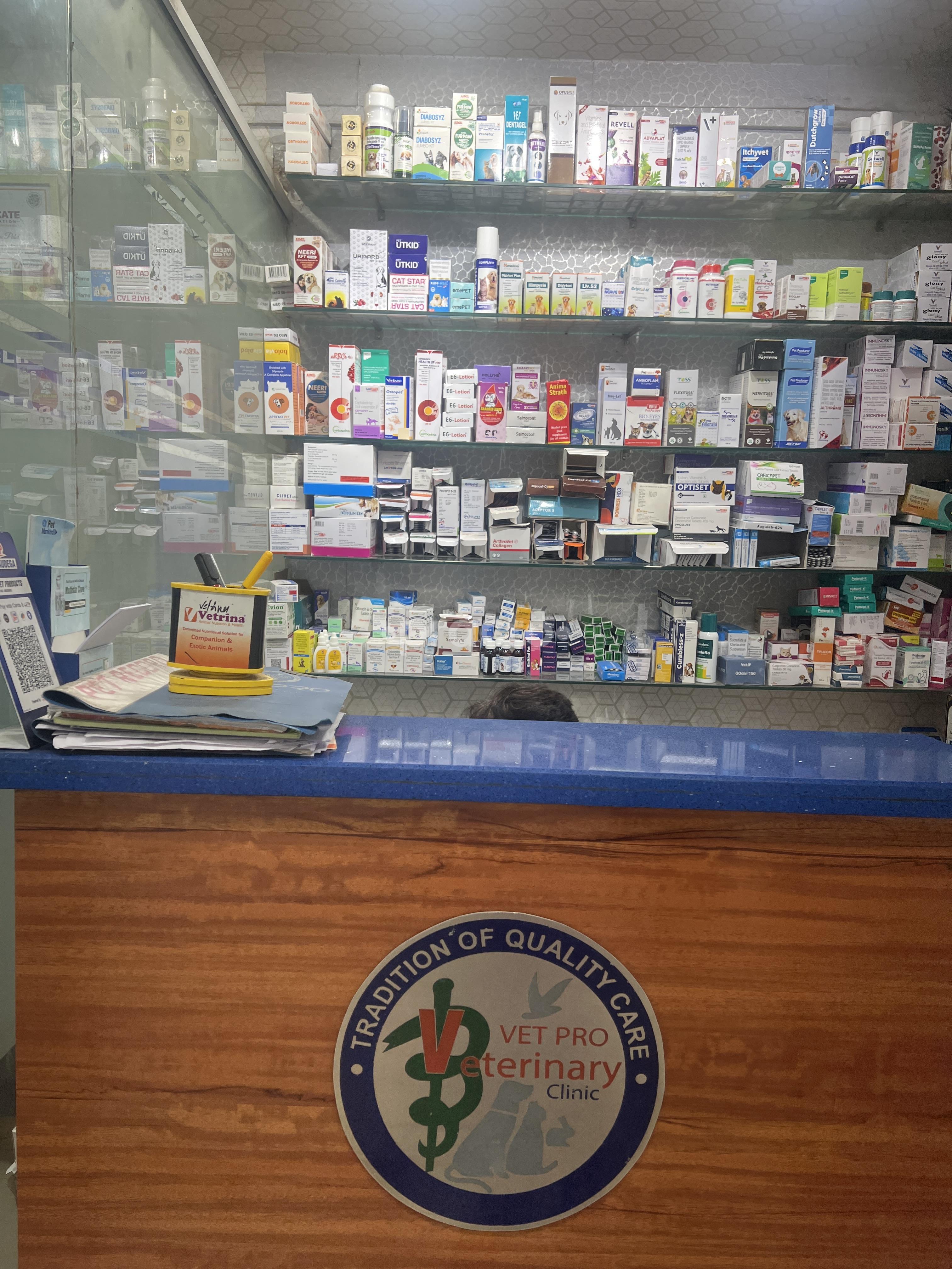 Reception Area at Vet Pro Dog and Cat Clinic Ashok Vihar Phase 1 Delhi