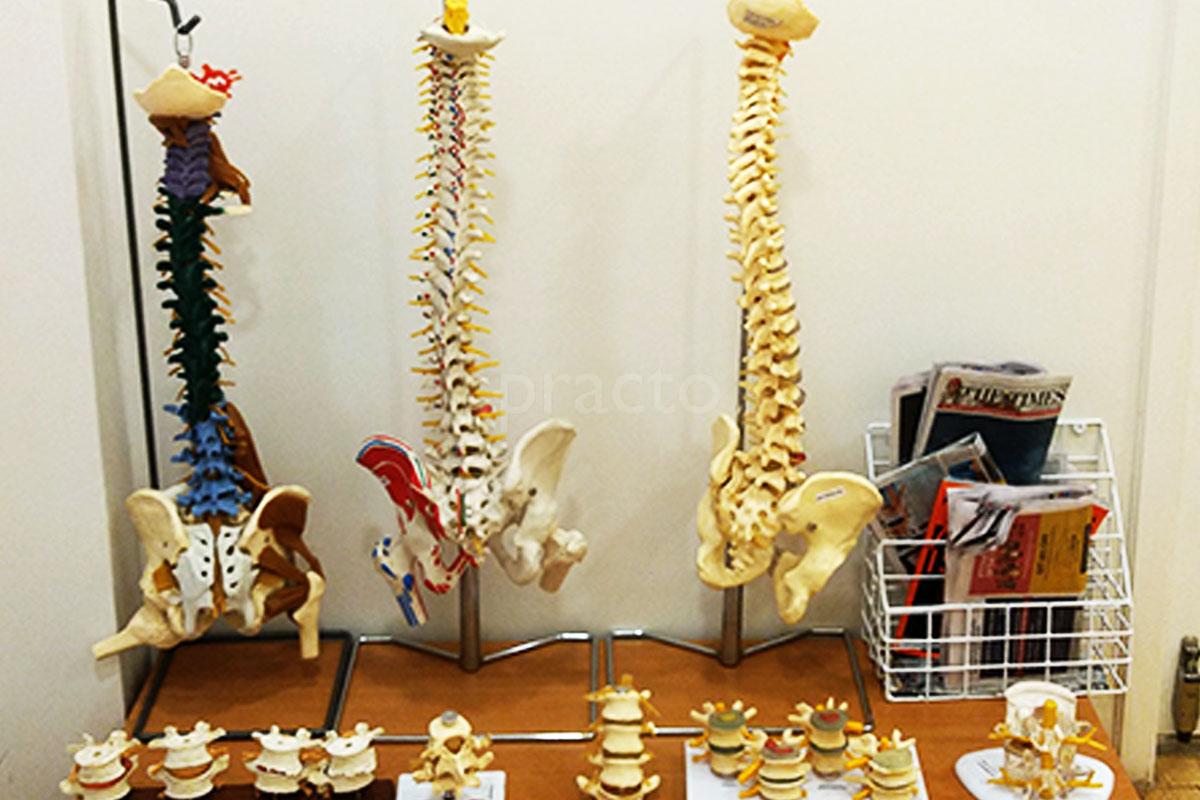 QI Spine Clinic Punjabi Bagh Delhi