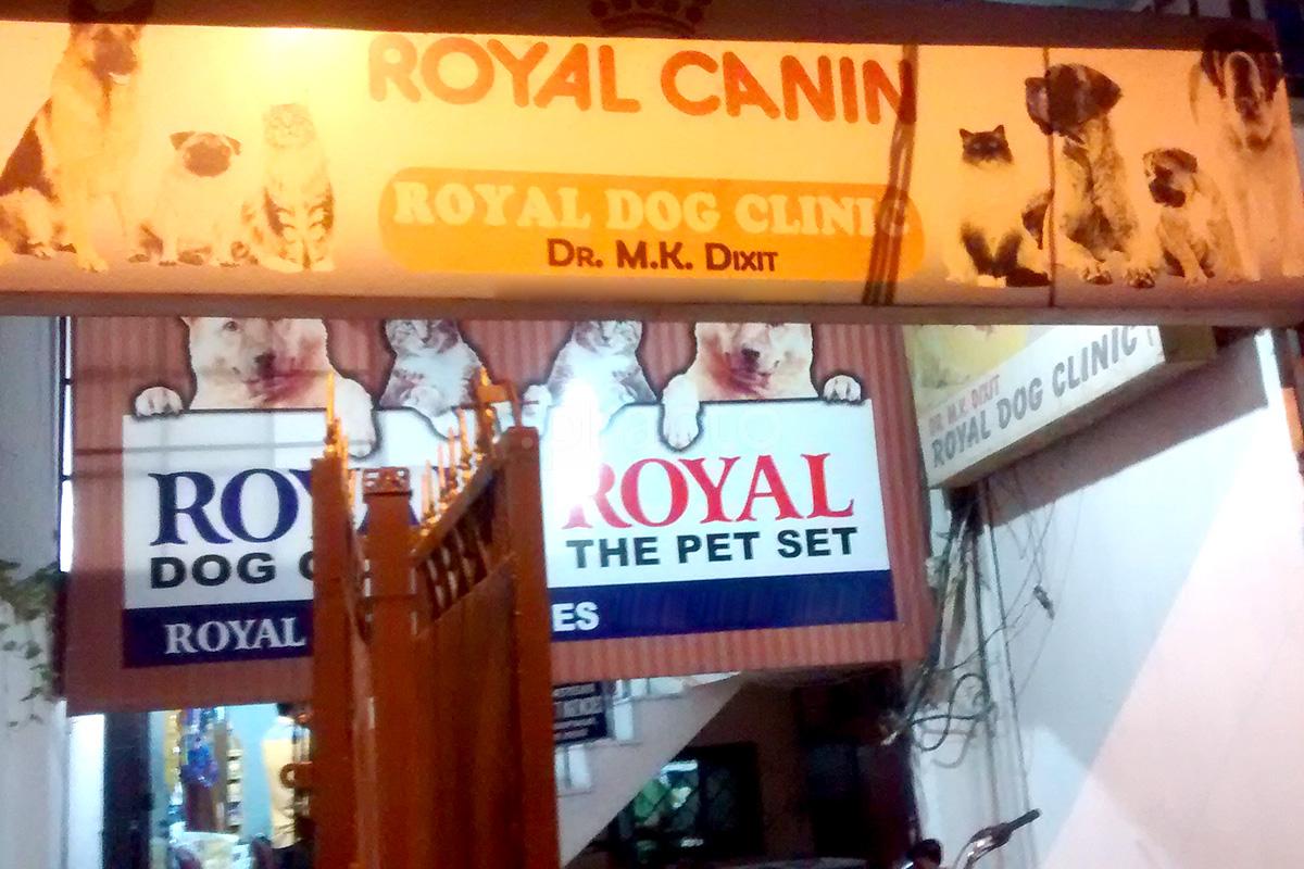 Entrance at Royal Dog Clinic Swaroop Nagar Kanpur