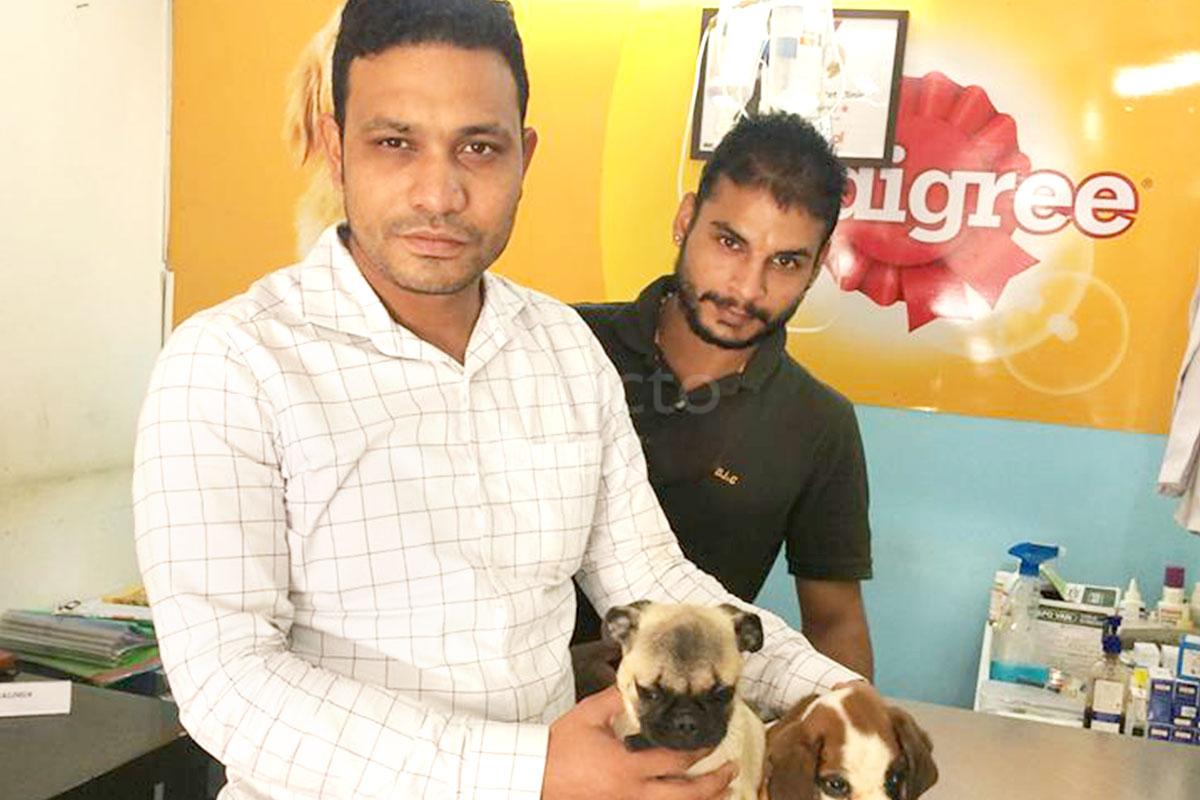 OPD/Ward at Santosh Pet Clinic Gurgaon Sector 46 Gurgaon