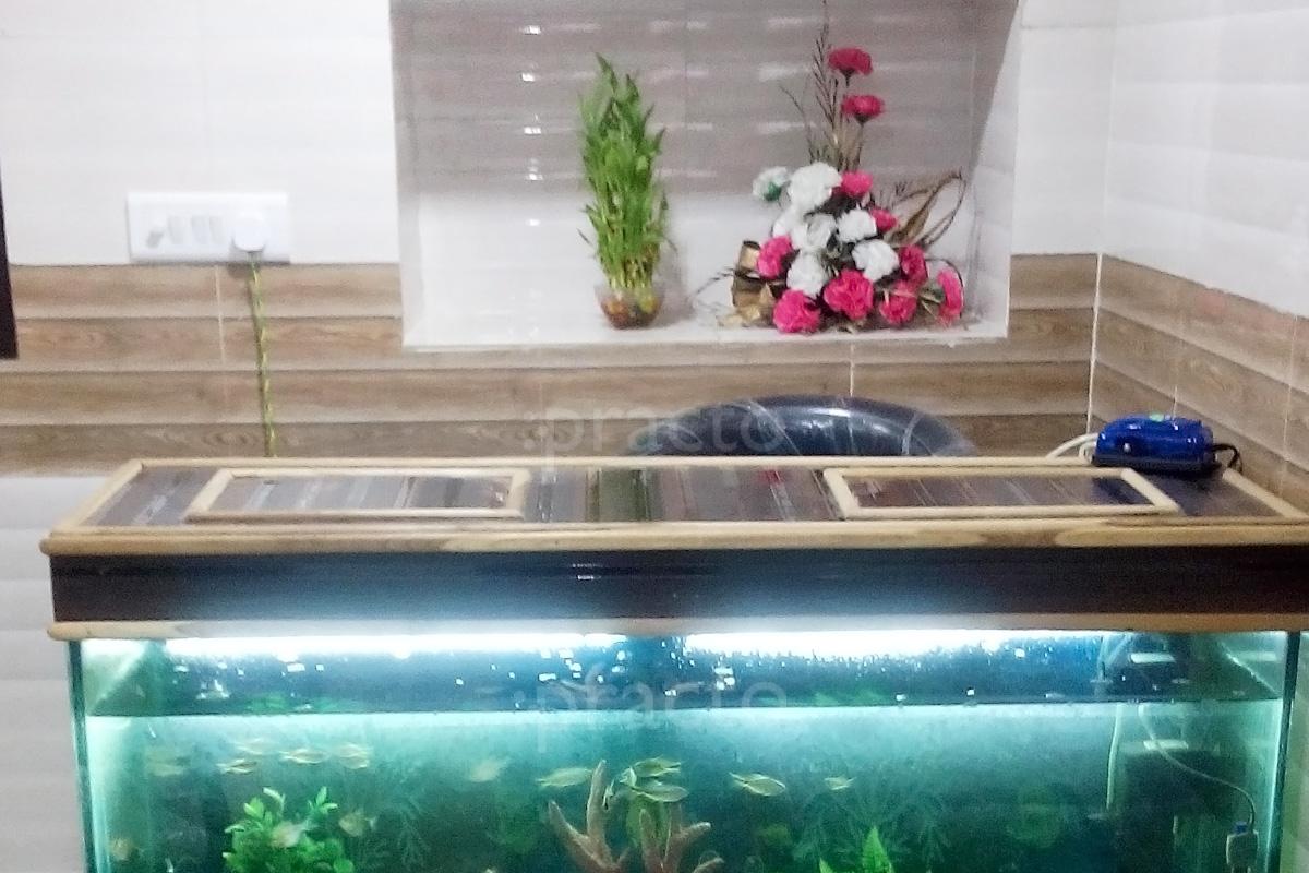 Reception at Siddhi Vinayak Dental Care Civil Line Agra