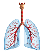 Balaji Chest Clinic