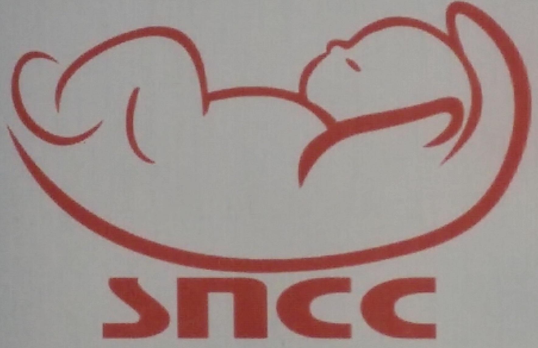 Srishti Newborn Care Centre