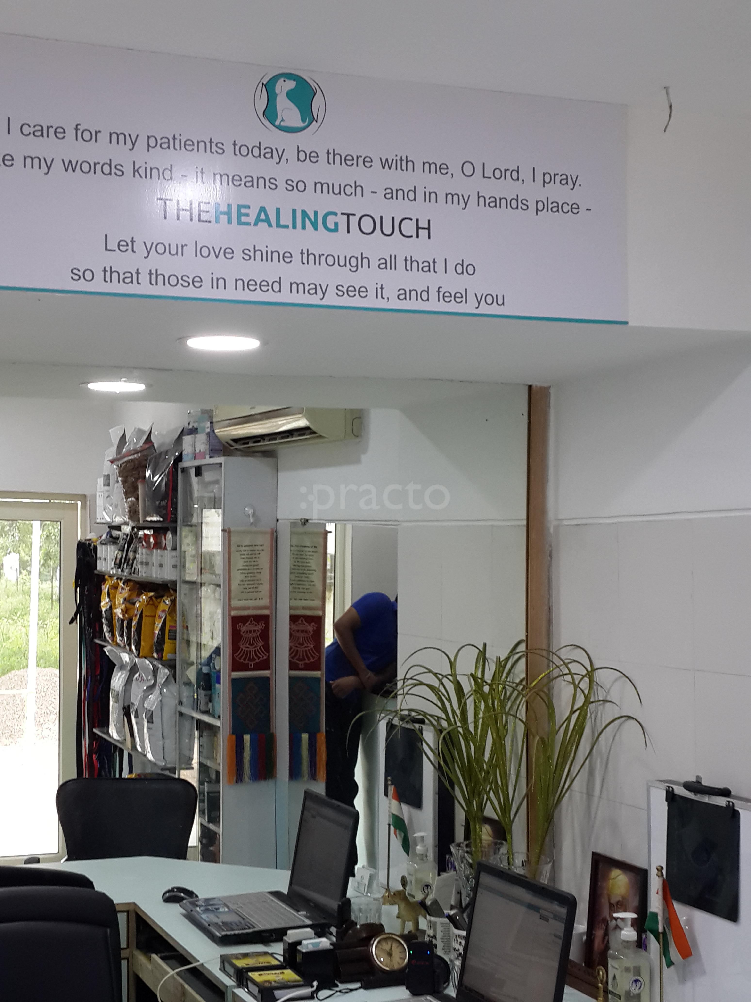 OPD/Ward at The Healing Touch Pet Clinic & Surgery Sector 54 Chandigarh