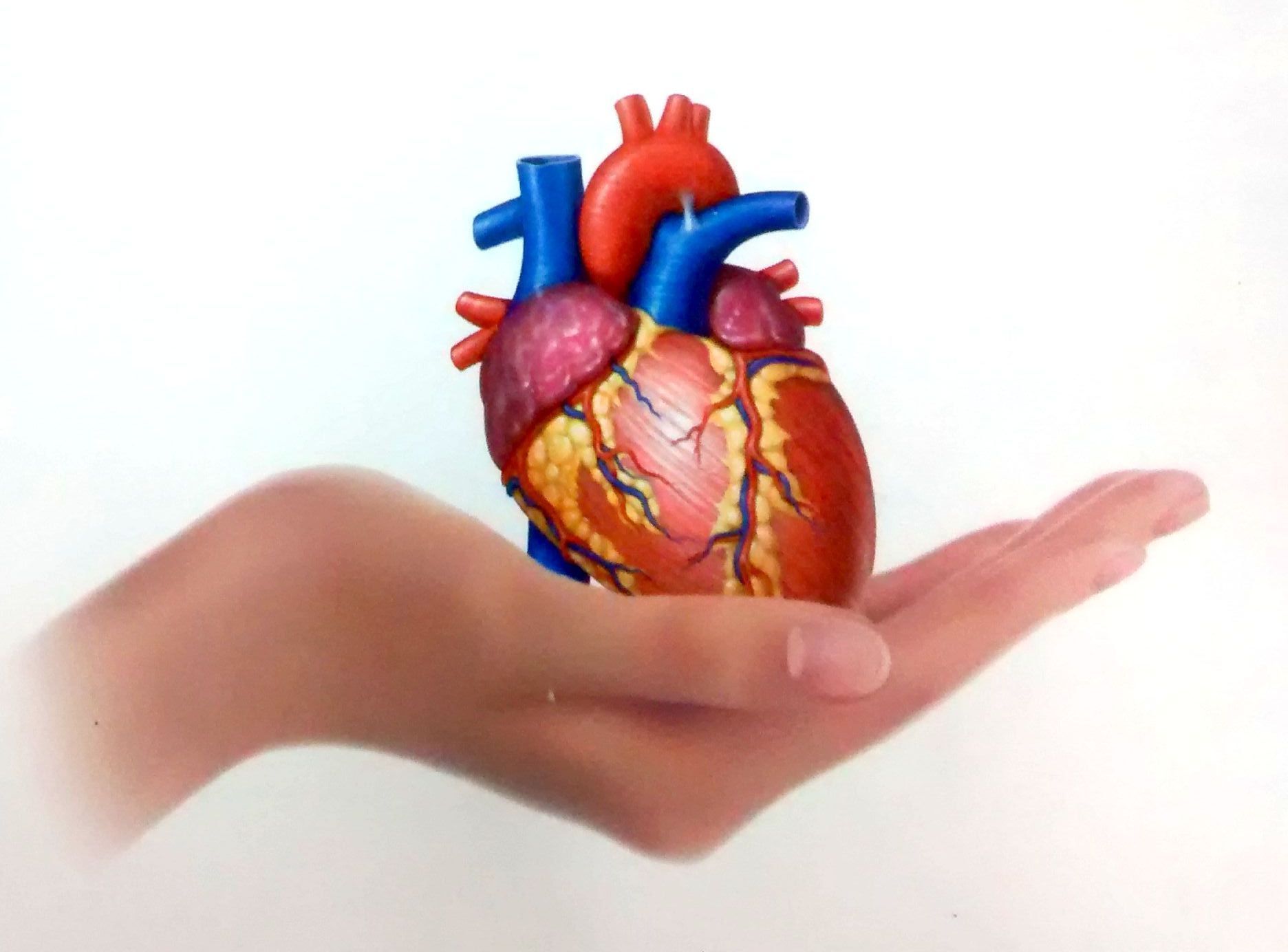 The Inamdar Heart Clinic Aundh Pune