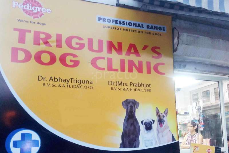 Triguna cheap dog clinic