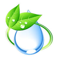 Vijaya Marie Homeocare